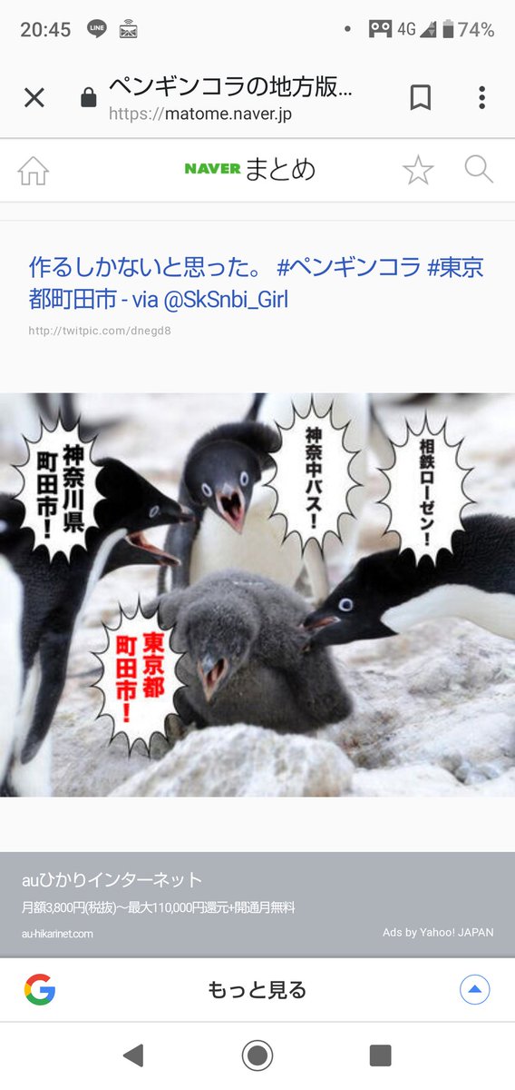 一時期流行った ペンギンコラ画像 元の写真は産経新聞のカメラマンさんが撮ったものだった お前だったのか Togetter