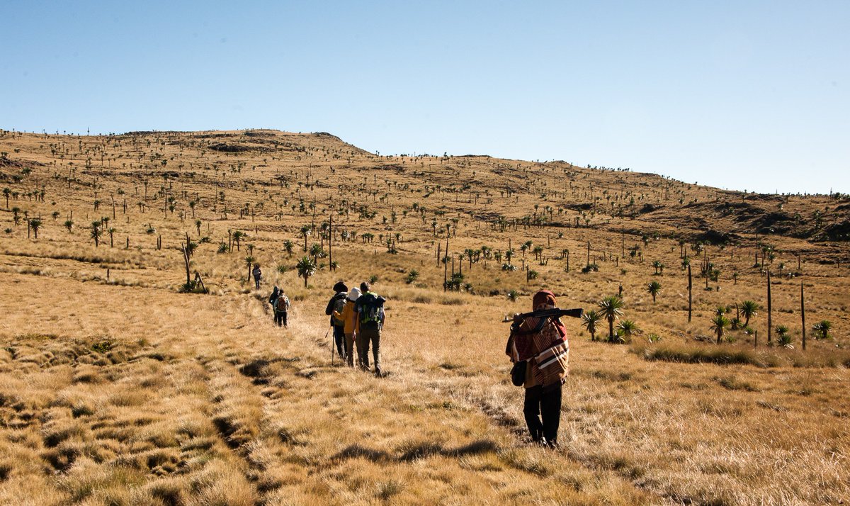 360Expeditions's tweet photo. As Ethiopia gets set to celebrate Orthodox Easter THIS weekend, we're busy putting the finishing touches to our new Simien Mountains expedition!! We're so excited by this incredible country - here's a sneak peak! https://t.co/WCziC0J4ee