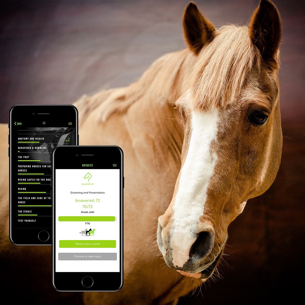 Equestion of the day!
Describe your favourite equine in three words! Go! #equine #horse #learnfromhorses #ponyhour #HorseChatHour #horseriding #blindriders #equestrianbloggers #horsesoftwitter #horsebloggers #Riders #horseapp #horsebackriding   #horsefun