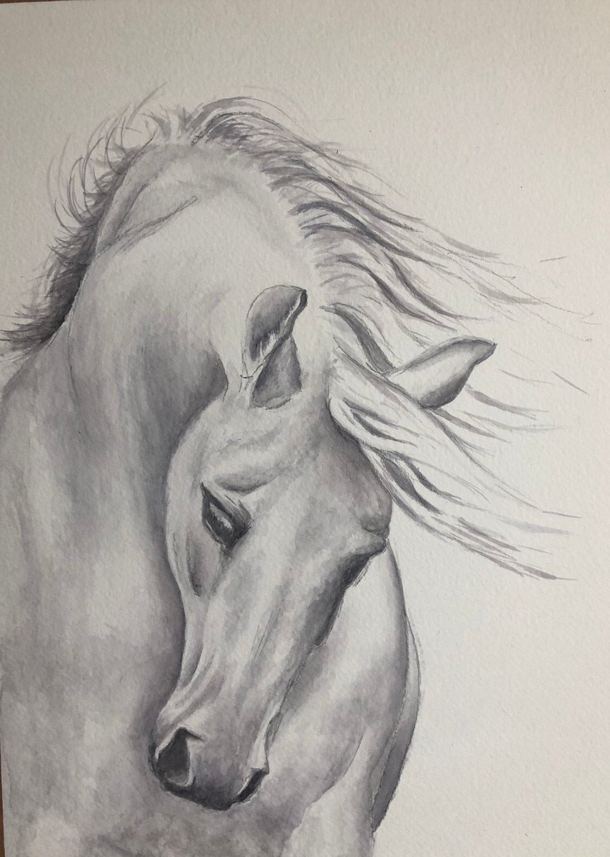 JillAspin's tweet photo. Excited to share the latest addition to my #etsy shop: Beautiful Horse Painting #art #painting #horse #equineart https://t.co/9w7TCVBcf6 https://t.co/K4h0yy5JZ9