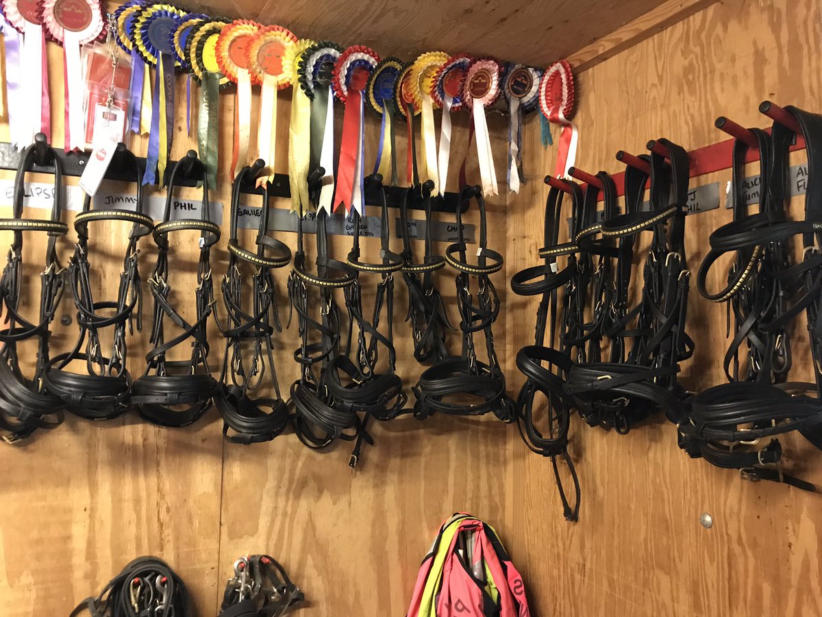 Thinking of buying a Bridle? Looking at my tack room I think we can happily recommend a <a href="/KateNegus/">Kate Negus</a> International bridle with a clencher Browband!!