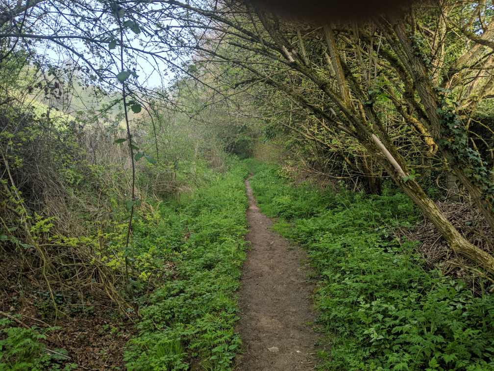 lennoni's tweet photo. In an attempt to avoid monster hill on run today, ran out into country. Found just as big hills only this time on wet ground #10kprep #holidayhome #navigation #morelikeorienteering https://t.co/X5rIgEuOAB