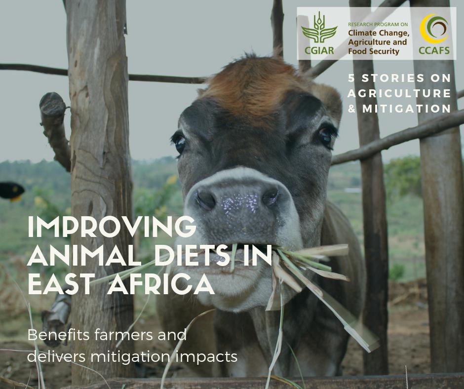 CGIAR Climate Action tweet media