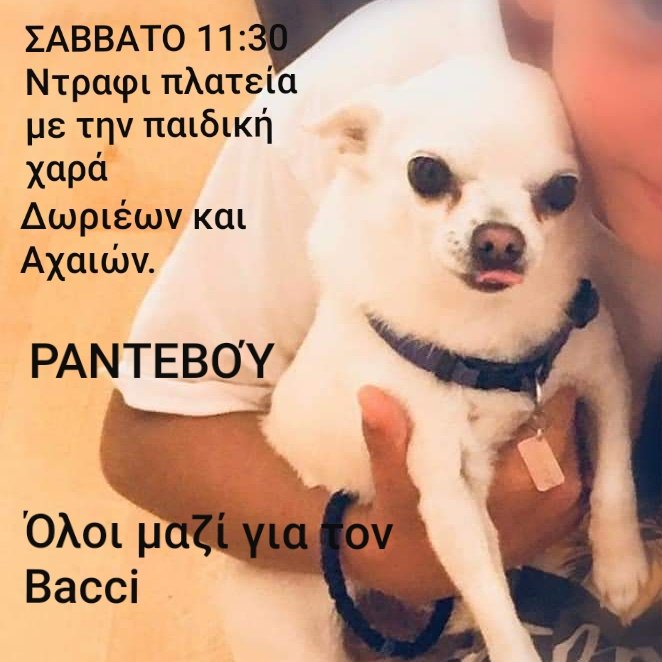 FindBacci tweet picture
