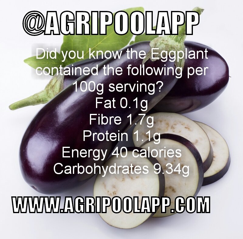 agripoolapp's tweet photo. Eggplant nutritional facts...
Did you know the eggplant is a good source of fibre, cholesterol-free, gluten-free. Take control of what goes into your body to stay healthy always.
#agriculture #FutureofFood #agripoolapp https://t.co/DOxNSEEBuJ
