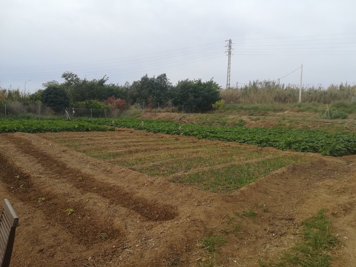 labadoquera's tweet photo. És primavera i la Badoquera està a ple rendiment: ja podem dir que hem recuperat la vida d'aquestes terres!

Aquesta és la força de veïns i veïnes organitzades per tirar endavant idees boniques, solidàries i revolucionàries.

18-4-2019 https://t.co/K5hCR3M6qZ