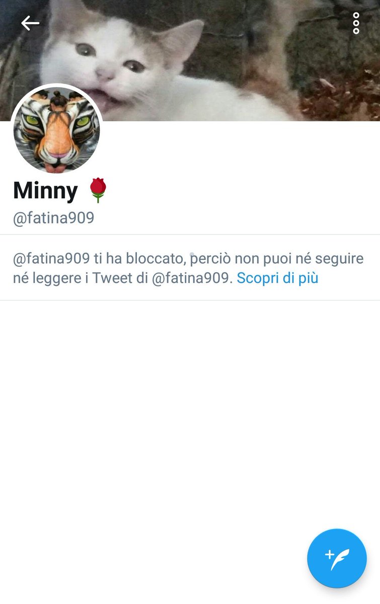 GekoCattivo's tweet photo. @fatina909 @Walter09251773 @evavola @antonio_bordin @InclitaRiva @TwitterSupport Come volevasi dimostrare è solo cyberbullismo,nessuna diffamazione,nessuna querela. Le interessa fare branco e far bloccare gli account di chi osa criticare.
Se avessero diffamato me non avrei tweettato ma avrei denunciato, a questo punto è impossibile credere alla sua buona fede https://t.co/3dZDHrPTg0