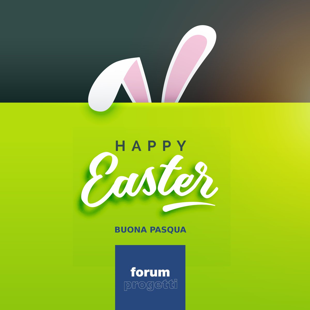 Forum_Progetti's tweet image. Auguri di #BuonaPasqua da @ForumProgetti 🐰🐣