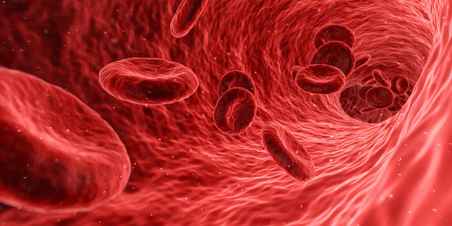 In the 3rd installment of our series of iron deficiency anaemia (IDA) blogs, we look at treatment of IDA with key messages and two case scenarios. Look out for our final blog on IDA, coming soon. #anaemia #patientsafety ggcprescribing.org.uk/blog/treatment…