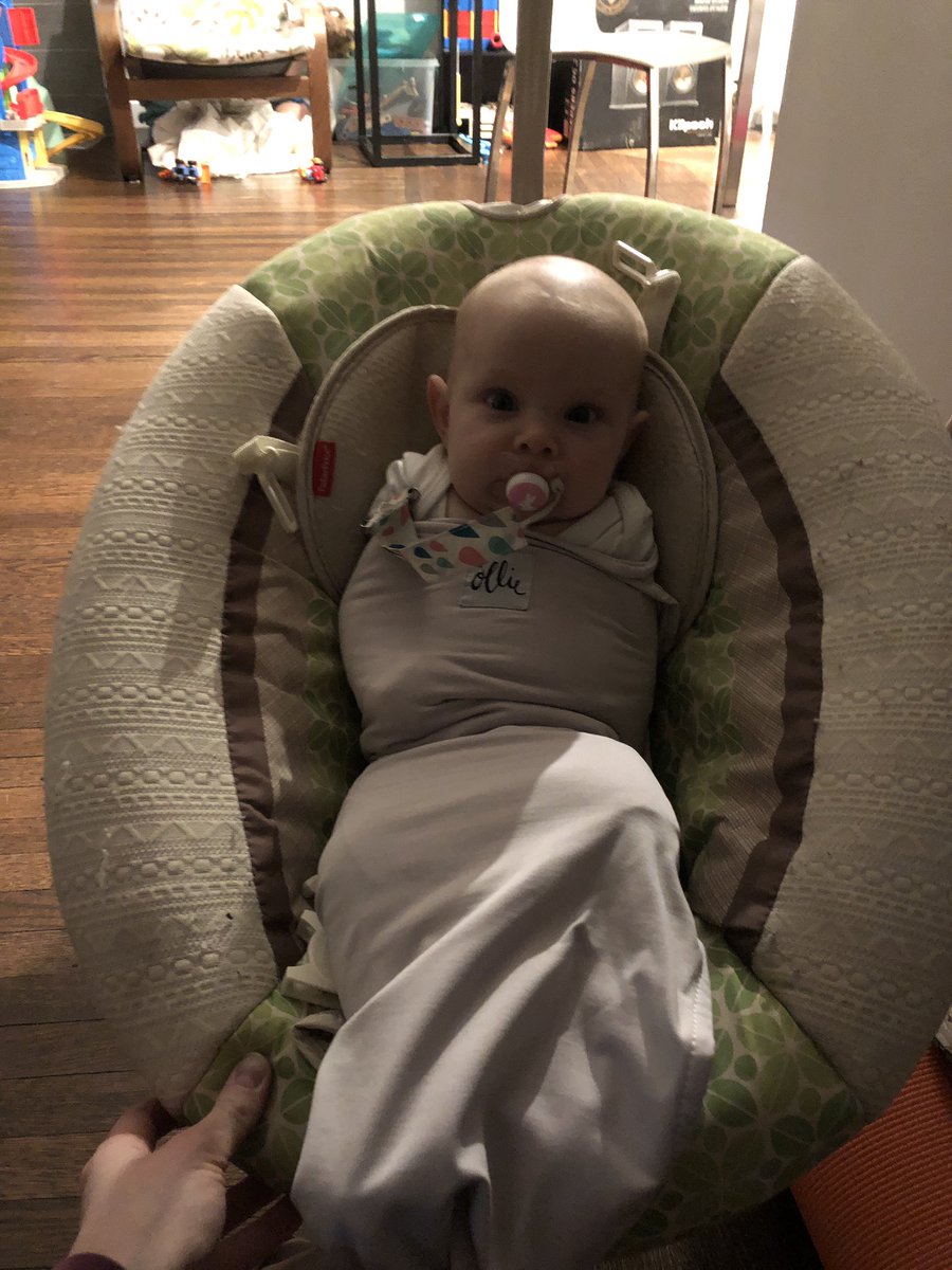 Steph Burg tweet media