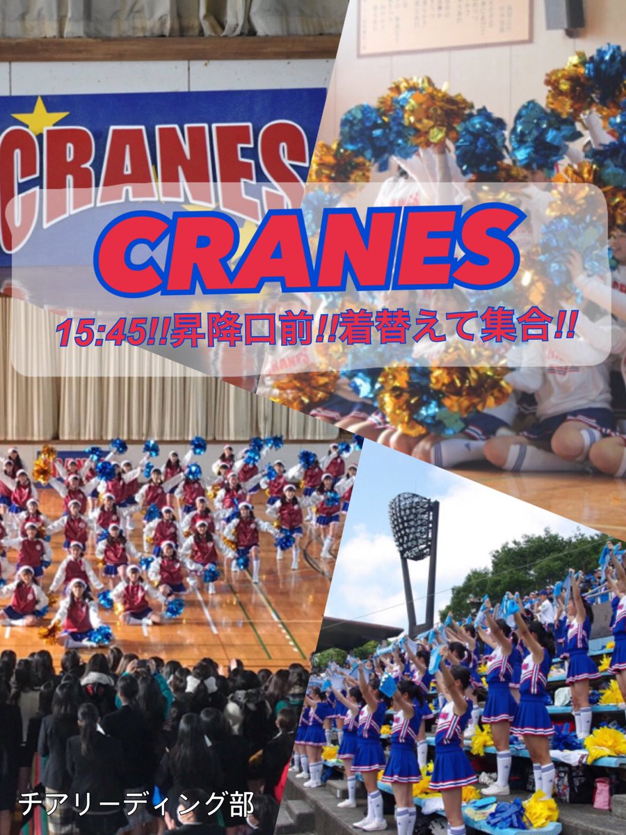 Cheer_trmn43's tweet photo. 仮入日アンド入部届けの締め切りを今月いっぱいに延ばします！！
それまでの火木(15:45〜17:00)に仮入部やってます！待ってます！！ 質問あったらdmとかし���ください！ https://t.co/sII8scRSdu