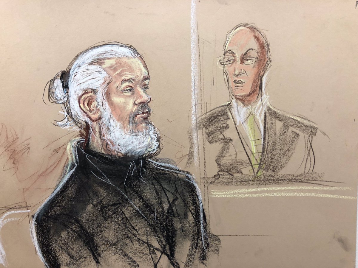 I don’t know what’s going on with Julian Assange, but I am RIVETED by the trial of “Recently Divorced Dumbledore.”