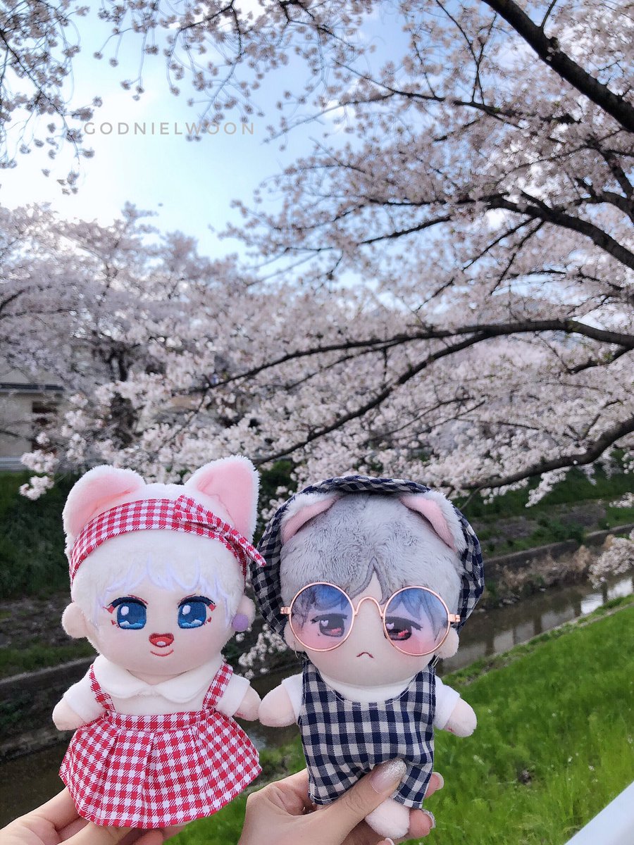 🌸🌿💕

#MilkyDoggywoon #奶狗云
 #녤운 #핓클  #사포  #แดนอุน  #nielwoon  #하성운 #강다니엘