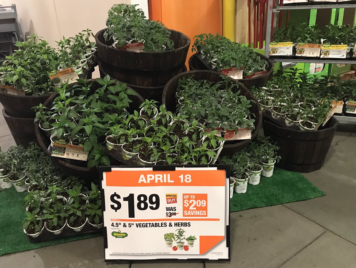 BillyParker138's tweet image. #teamtramonto gearing up for deal of the day again. #d130driven @jacki_mccord