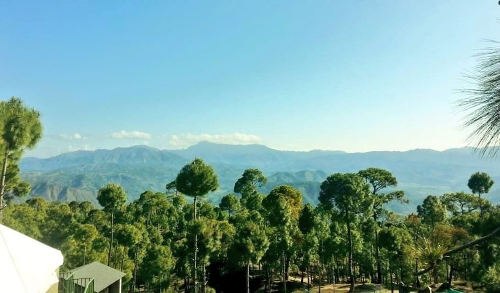 letsgosightsee's tweet photo. It looked #like a #PERFECT day to #stepout for a stroll.
A clear #sky let us #view the #Himalayan peaks... We intended to walk amongst the deodars!
April 2015 #ThrowbackThursday #Uttarakhand #India #uttarakhandheaven #letsgosightseeing #happyfeet #lifeoftravel #gettaged https://t.co/Jg6h8ua75T