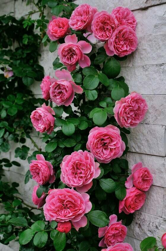 ⠀ 

صباح الخير : لكل الذين تيقنوا وأيقنوا أن الخير كله بيد الله ، فلم ينتظروا مخلوقاً ولا منزله عند أحد🍂

ا 🅱️ ا #الـبـحــر 🅰🅻🅱🅰🅷🅰🆁

⠀