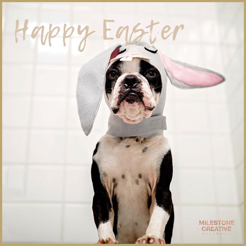 MilestoneCreatv's tweet photo. As we close our doors over the long weekend (+ a bit), we wish all our friends a safe, productive and joyful break ahead.
#eventprofs #marketing #eventmarketing #MilestoneCreative #socialmedia #digitalmarketing #design #strategy #easter #longweekend #holidays #joy https://t.co/N6bwjVs122