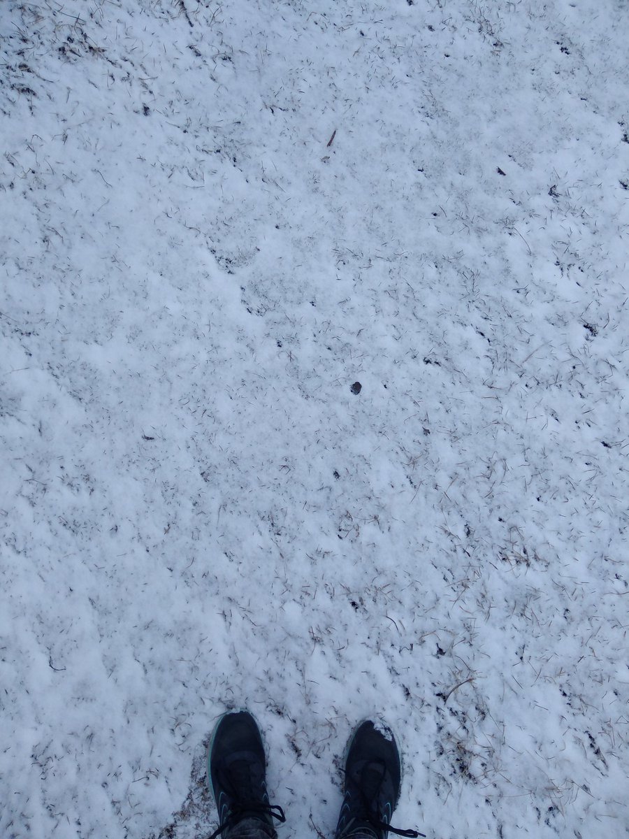 kadnich_'s tweet photo. 18 СУКА АПРЕЛЯ
GOD ARE YOU KIDDING ME https://t.co/v9qhB2ehco
