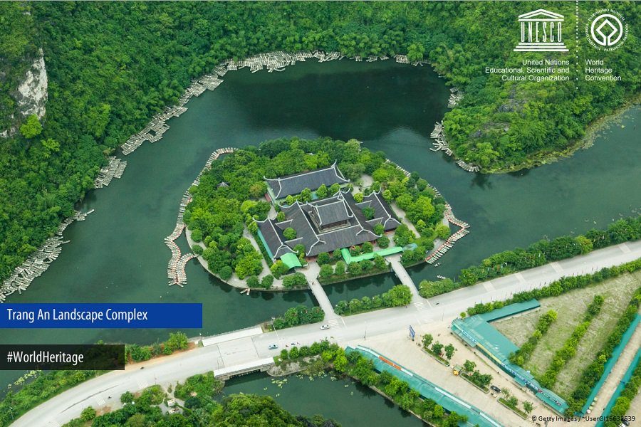 Mechtild Rossler tweet media