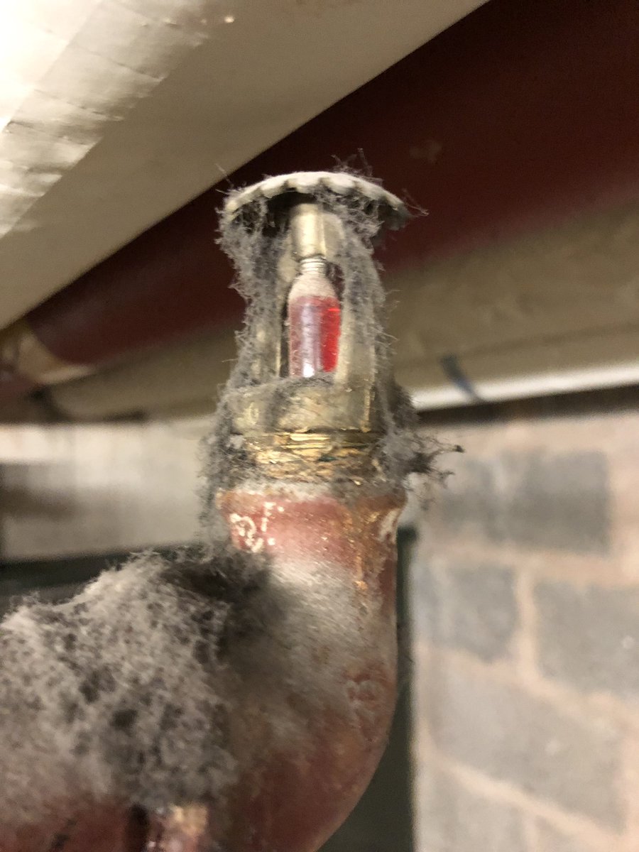 nuformfire's tweet photo. Once sprinkler heads are installed they should not be forgotten about. Regular maintenance and inspection is key to successful operation when needed #sprinklermaintenance #nuformfire https://t.co/gemPZ0FiCD