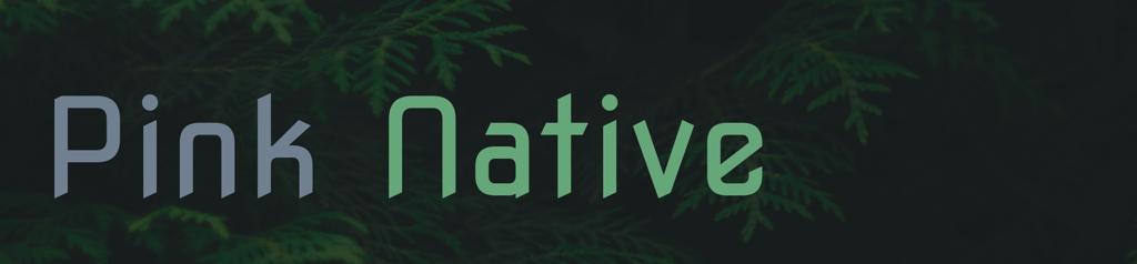 start_this_up's tweet image. Pink Native
digital interviewing designed by buddies #digitalinterviewing