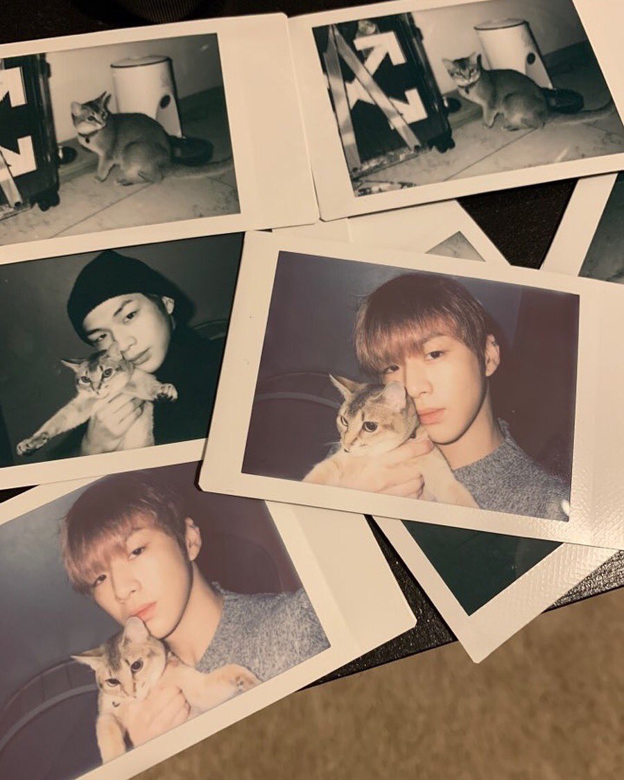 จ๋อง♡ tweet media