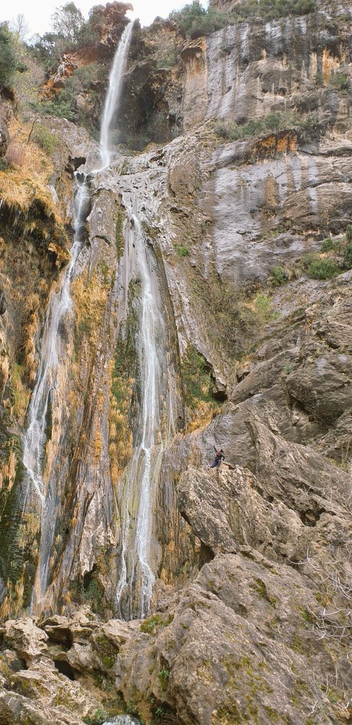 JuanRobles82's tweet image. Hasta el 2020 Osera!!! Que grande !!!! #LaOsera #Mogón #Villacarrillo #Jaen