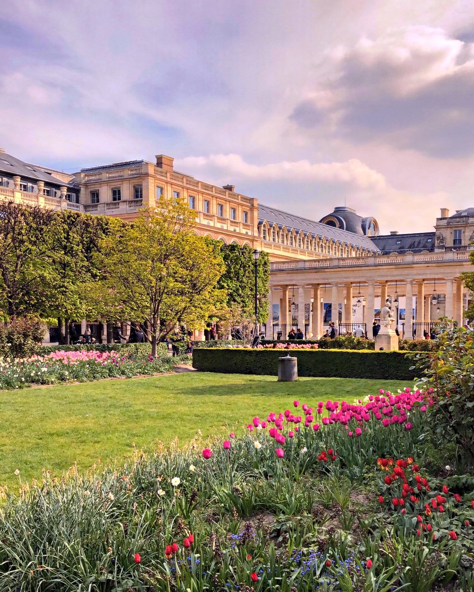 Pierre_MM's tweet image. Pour ce #JeudiPhoto je partage ma photo du Jardin du Palais-Royal que j’ai prise ce week-end. Un lieu tellement beau et agréable 🥰