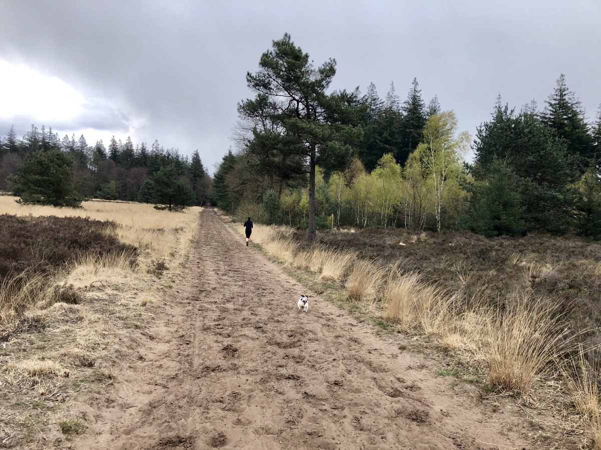 ZwerfTrail over de Veluwe!
Zaterdag 11 mei, Boeschoten Trail Voorthuizen. inschrijven.nl/form/201905115… VELUWE😉👣👣👣 #GaMetOnsMee #Veluwetrails #boeschotentrail #voorthuizen <a href="/staatsbosbeheer/">Staatsbosbeheer</a> <a href="/PBVoorthuizen/">PB Voorthuizen</a> <a href="/btkevents/">ULTRARUN-STORE.NL</a> <a href="/CampingZanderij/">Camping Zanderij</a>