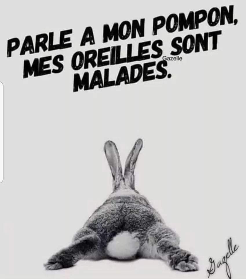 Je Suis Une Licornasse Bonjour Jesuisunelicornasse Lapin Pensee Du Jour Jeudi Citation Raslepompon Je Suis Une Licornasse Bonjour Jesuisunelicornasse Lapin Pensee Du Jour Jeudi Citation Raslepompon