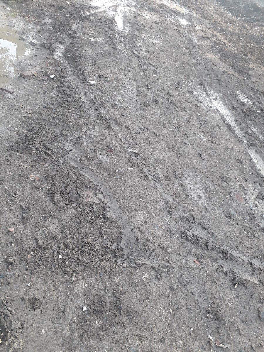 ChandraSarod's tweet photo. Few more photographs of the road at Park Avenue  Srinagar Colony for @bhopalmunicipal and @bhopalcomm. Most of us living here are sr citizens. Waiting for some accident as it is impossible to go out. The condition has worsened after the new Kolar Pipeline was laid. https://t.co/XiiJ8NNlVa