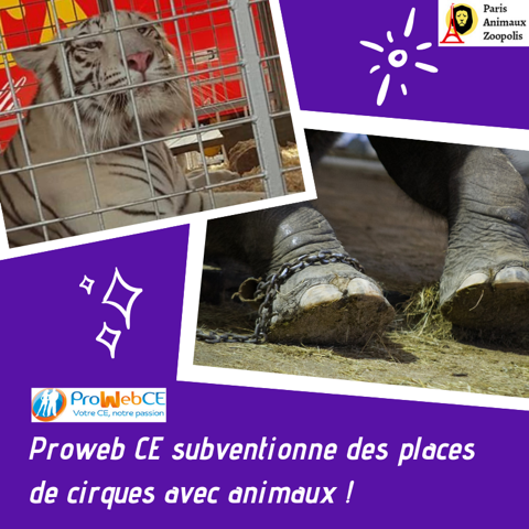 #ProwebCE propose des spectacles de cirque avec animaux sauvages à prix réduits pour 7000 CE. Les animaux y sont emprisonnés à vie et dressés 🤡🐯
<a href="/EdenredFrance/">Edenred France</a>, engagez-vous dans une politique plus responsable envers les animaux !
#CirqueSANSanimaux