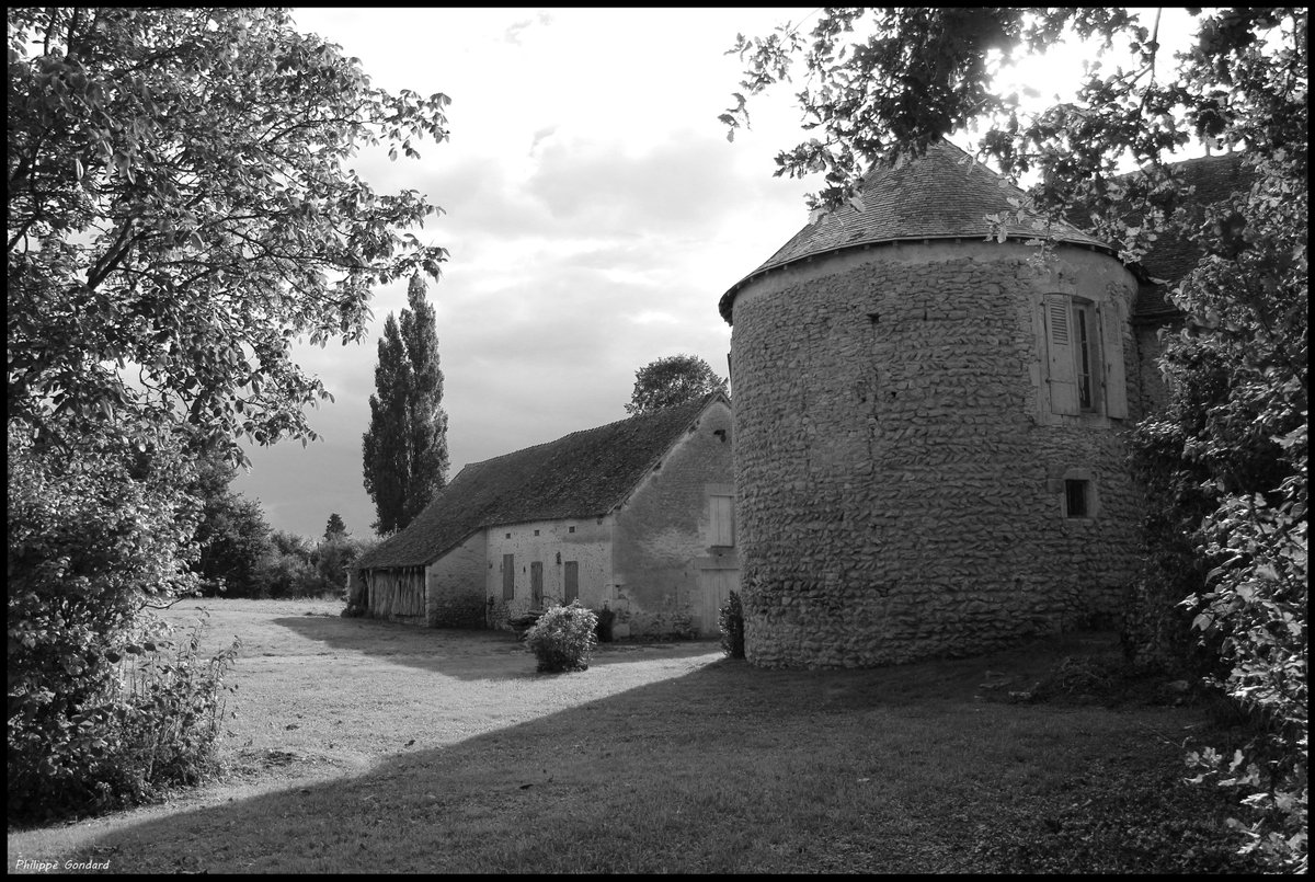 PhilGondard's tweet photo. Dangeul (Sarthe) #dangeul #mayanne #prieurédemayanne #sarthe #lasarthe #sarthetourisme #labellesarthe #labelsarthe #patrimoine #artroman #tourisme #maine #paysdelaloire #noiretblanc #blackandwhite #photo #photography https://t.co/onVCFhzlZs