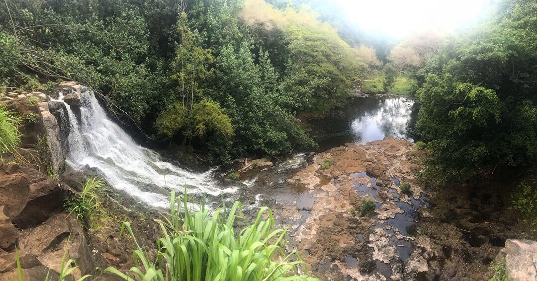 Kauai is definitely one of the most beautiful places on this earth... 🌺💚💛🌴🏄‍♀️🌊 #paradise #kauai #vacation #sunburntandhappy #adventuring #queensbath #hoopifallstrail #wailuafalls #sunsets #pokefordays #hiking #adventureswithfriends #oldfriendsreunited