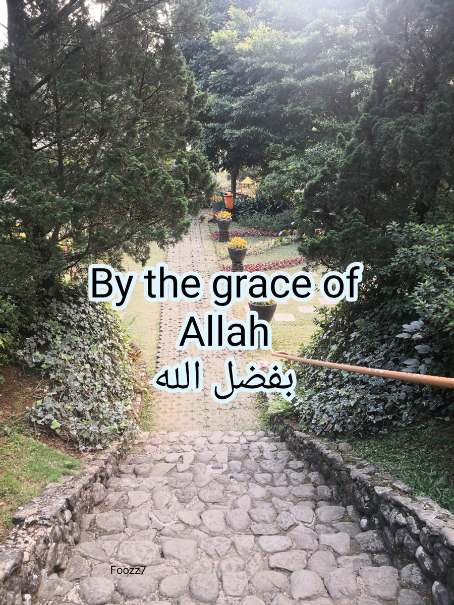 foozz71's tweet image. #ماهو_افضل_لون_عندك