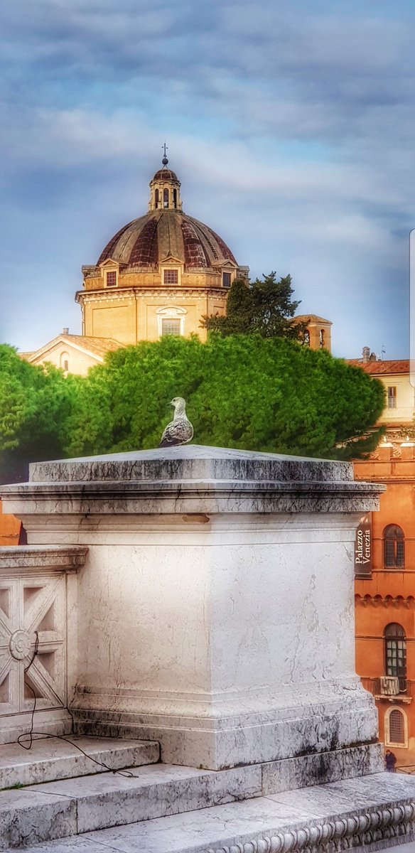 Veduta dal Vittoriano 
Chiesa del Gesù 
#Roma 
#pasqua2019 
<a href="/PFotografica/">passione_fotografica</a>
<a href="/DiscoverItalia/">Discover Italia</a>
<a href="/discoveroma/">Discover Roma</a>
<a href="/GaudiumRoma/">Gaudium Roma</a>
<a href="/italiadasogno/">Italiadasogno</a>
@I__Love__Italy 
<a href="/BeautyfromItaly/">BEAUTY FROM ITALY</a> 
<a href="/Gianlucapica91/">Una Guida Turistica a Roma</a>