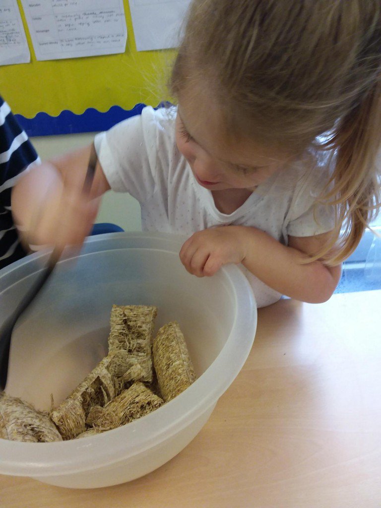 YellowdotNorthBaddes tweet media