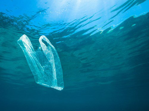 LegambienteLab's tweet photo. #pelagosplasticfree  Le buste di plastica sono il rifiuto più avvistato nei nostri mari da #GolettaVerde.
#diffondiamolebuonepratiche 
#4 Usa buste compostabili e borse riutilizzabili, e rifiuta le buste di plastica illegali ancora in circolazione! #plasticfree
#santuariopelagos https://t.co/k0tKC4nf1G