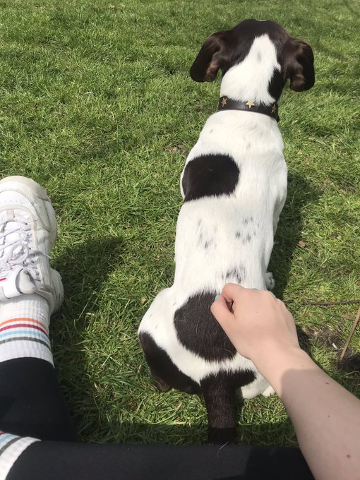 Me and my new friend found a stick with this on it so we scuffed it up a bit and he ate it. The stick