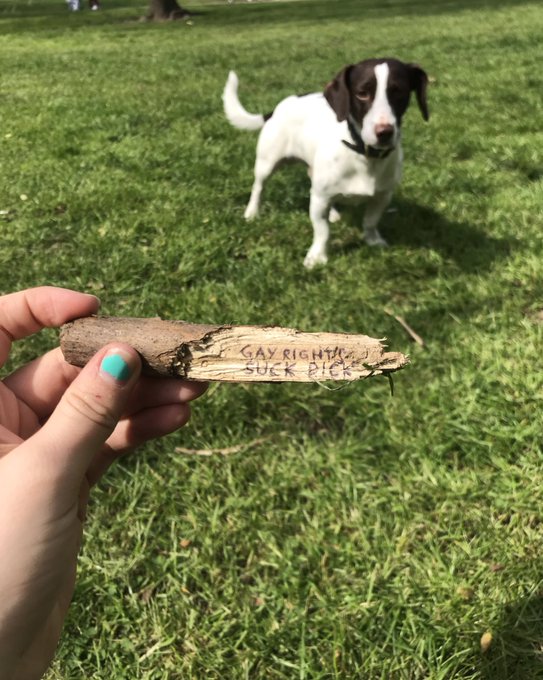 Me and my new friend found a stick with this on it so we scuffed it up a bit and he ate it. The stick