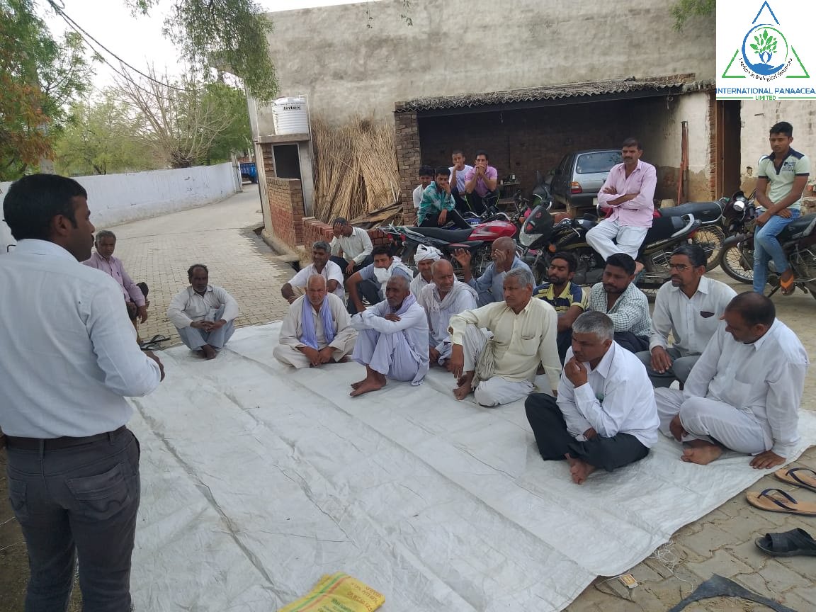 IPLBiologicals's tweet image. IPL team members conducted #farmermeeting in Almudeenpur Village of Gurugram (Haryana) and tell them how our products #Sanjeevni &amp;amp; #Phoster will help them to increase the #yield of their #crops
#Organicfarming #Agriculture #Crops @IPLBiologicals
