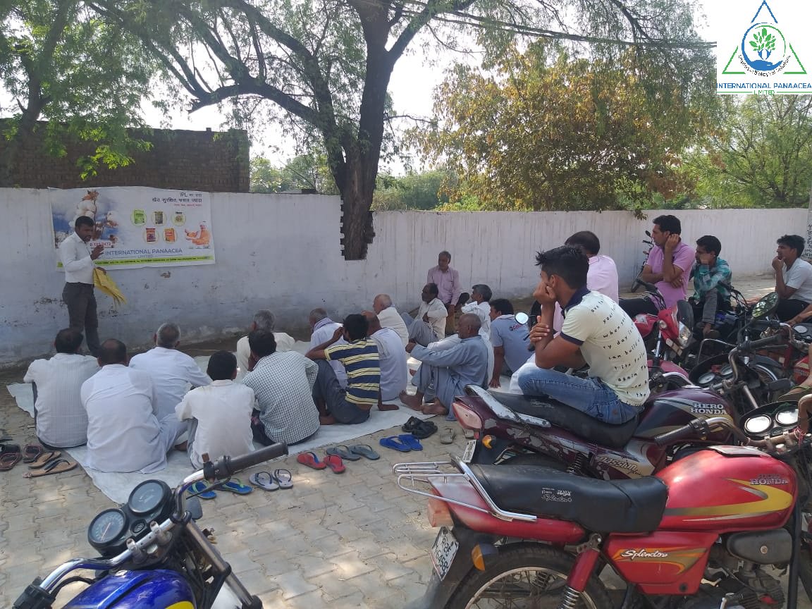 IPLBiologicals's tweet image. IPL team members conducted #farmermeeting in Almudeenpur Village of Gurugram (Haryana) and tell them how our products #Sanjeevni &amp;amp; #Phoster will help them to increase the #yield of their #crops
#Organicfarming #Agriculture #Crops @IPLBiologicals