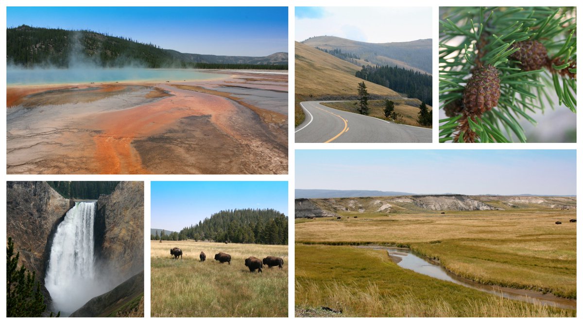 JeanGrant05's tweet photo. How did I do my research for Will Rise from Ashes? Find out!
https://t.co/JcBccxzT7A
#roadtrip #yellowstone #nationalparks #summer #vacation #womensfiction #amreading #BookWorm #ReadRoses https://t.co/JTjugZuTQc