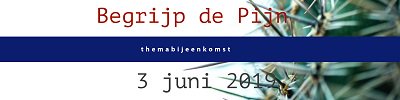 Nog vóór de Pasen regelen: inschrijven voor Workshop Begrijp de Pijn: 3 juni. 
tinyurl.com/y2uqk9n3