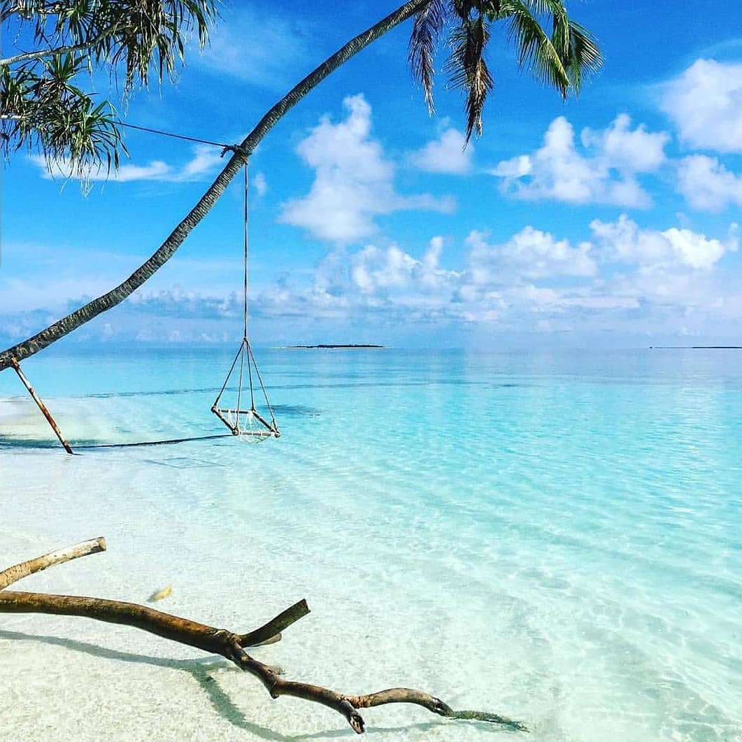 Azureswimwear's tweet photo. Crystal clear AM inspo 💦 #maldives #paradise 📷: @nasruali https://t.co/kB3G3QxupG