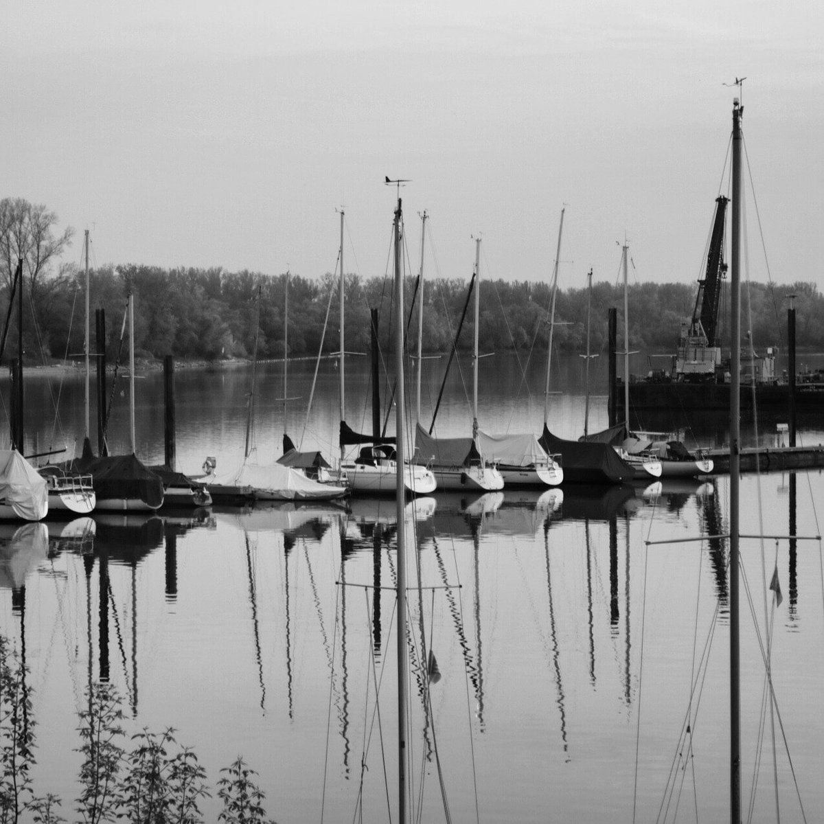 agatius's tweet image. #Altrip