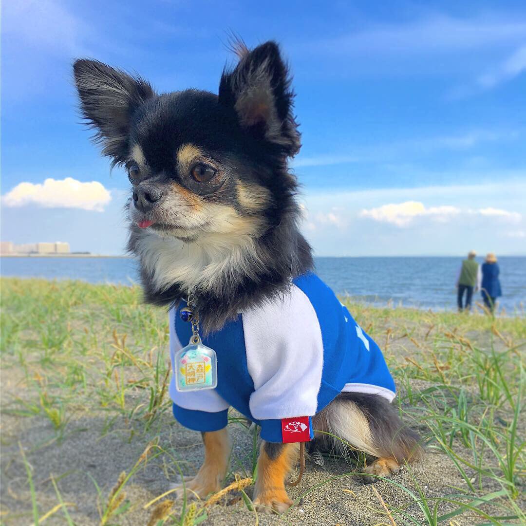 NakakuraRyudo's tweet photo. ããŒãããã®ã¯ã³ã³ã®ç¬é¡ð¶ðâš
芪ãã«åçããŒãããæ®ã£ãww
仿¥ã¯ãã¯ã€ãã©ã³ããHiLifeãã§ãããã³ãŒãðâºïžðâšâš
ãæãã ãšãåºãããæ¥œãããªããâ¬
#hilife #hilifestore #ã¯ã³ã³ã®ããçæŽ» #ãã¯ã¯ #æç¬ #ããªãŒã¢ããŠã³ãµãŒ #äžåéé https://t.co/eQEqdwjHo1