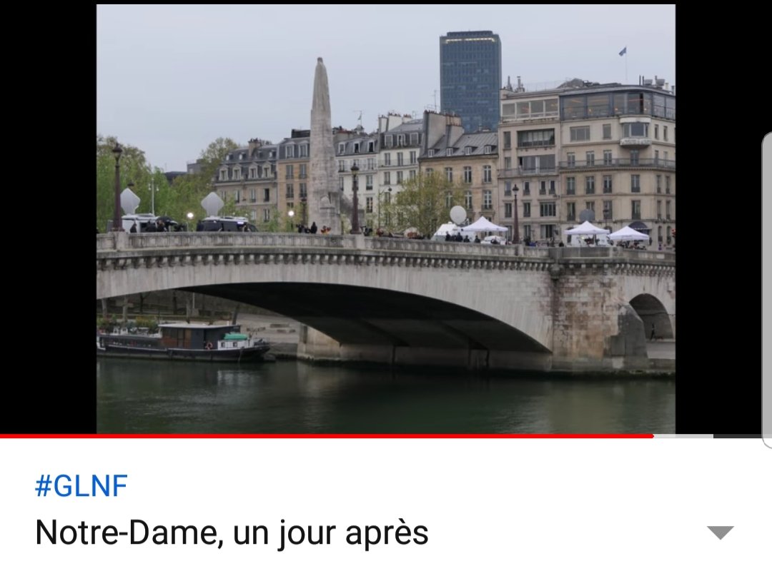 "Notre projet sera couronné de succès".  #nwo  #NotreDame