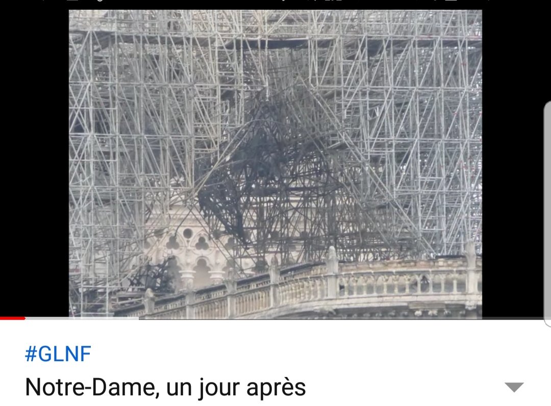 "Notre projet sera couronné de succès".  #nwo  #NotreDame