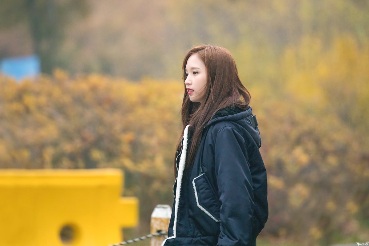 dreamnara0324's tweet photo. 181107 🐧🧡

Bring me happiness😍😍😍

#FANCY
#TWICE⁠ ⁠⁠#트와이스⁠ ⁠#MINA #미나 #ミナ @JYPETWICE https://t.co/lRvyhSyY2b